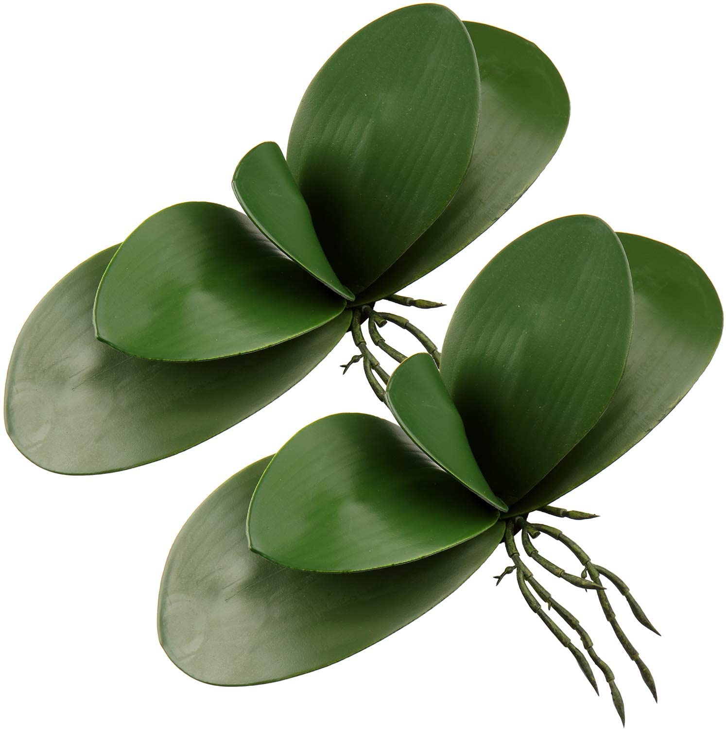 Orchid Phalaenopsis - Artificial Phalaenopsis Leaves Real Latex Touch