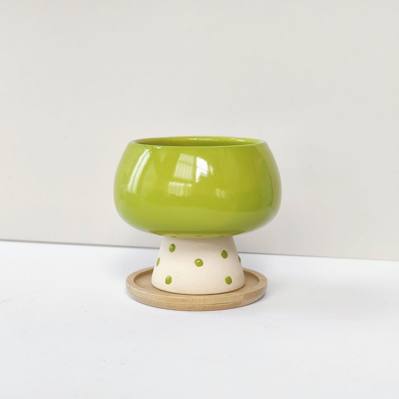 Snake Plant Ceramic - Stylish Minimalist Ceramic Flower Pot for