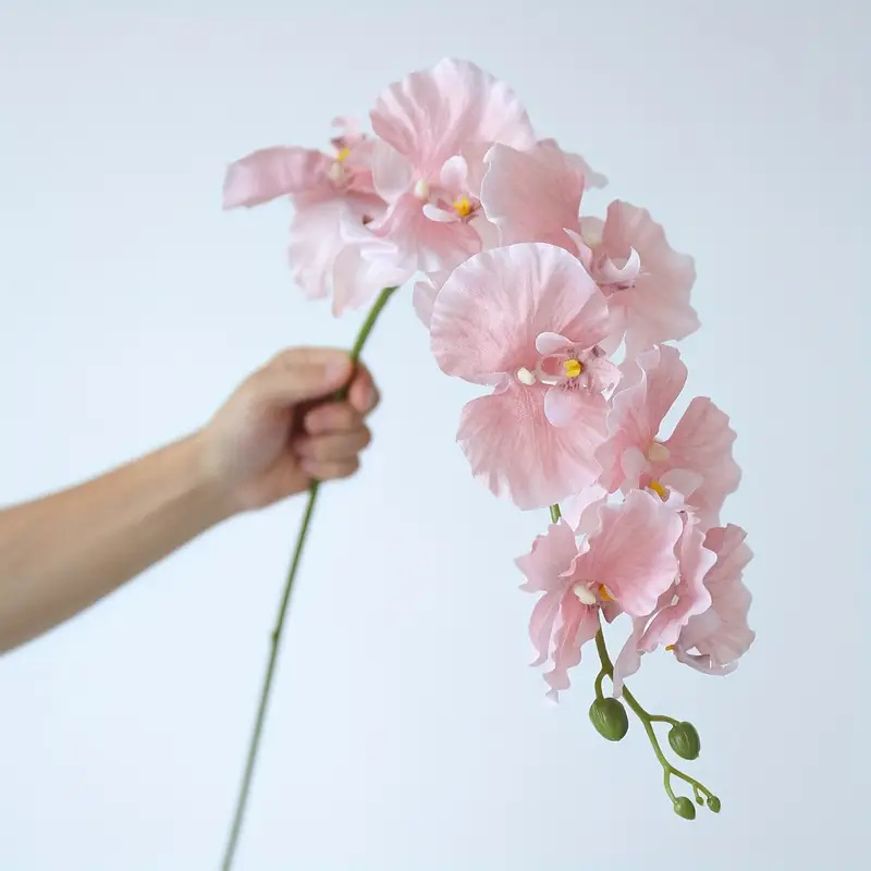Orchid Phalaenopsis - Long Branch Butterfly Orchids Artificial Flowers