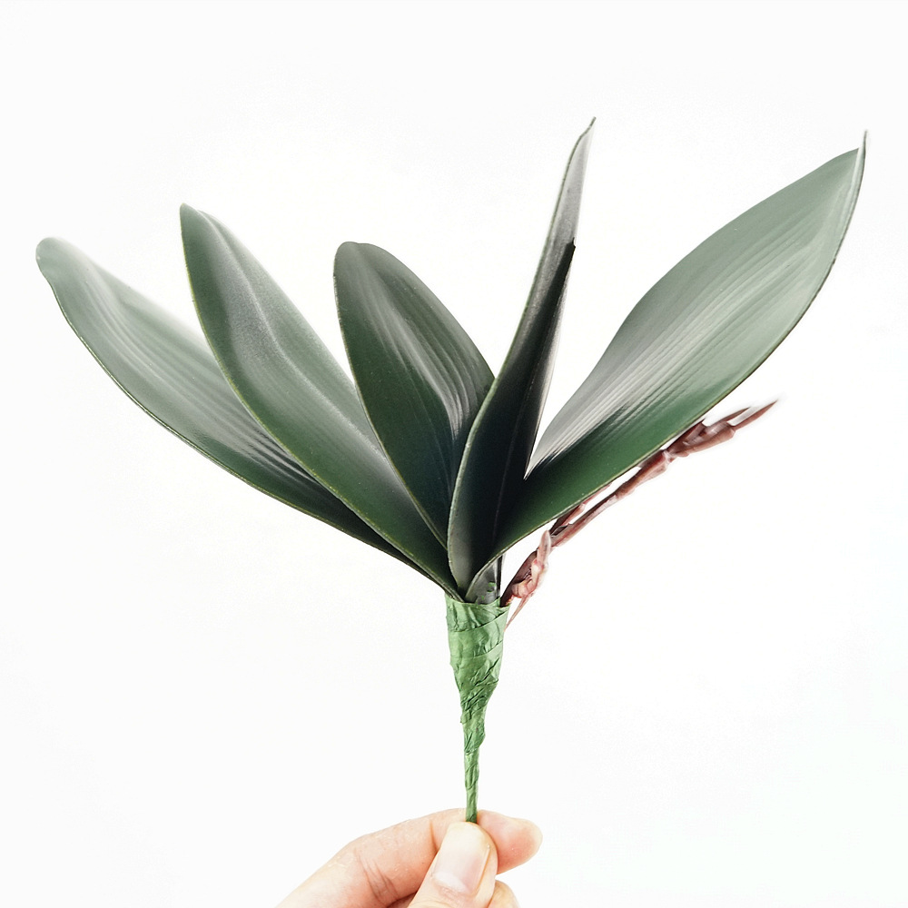 Orchid Phalaenopsis - 3pc Eva Simulation Phalaenopsis Leaves Orchid