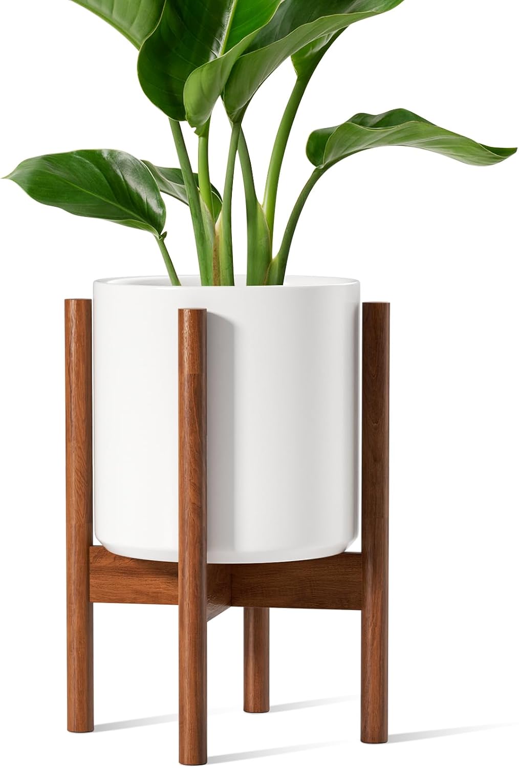 Snake Plant Ceramic - 12 Inch White Elevated Ceramic Plant