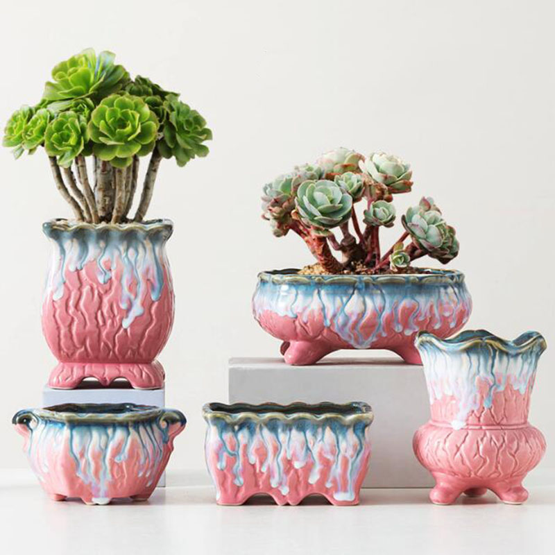 Creative Glazed Flowerpot Succ - đánh giá và giá Snake Plant Ceramic