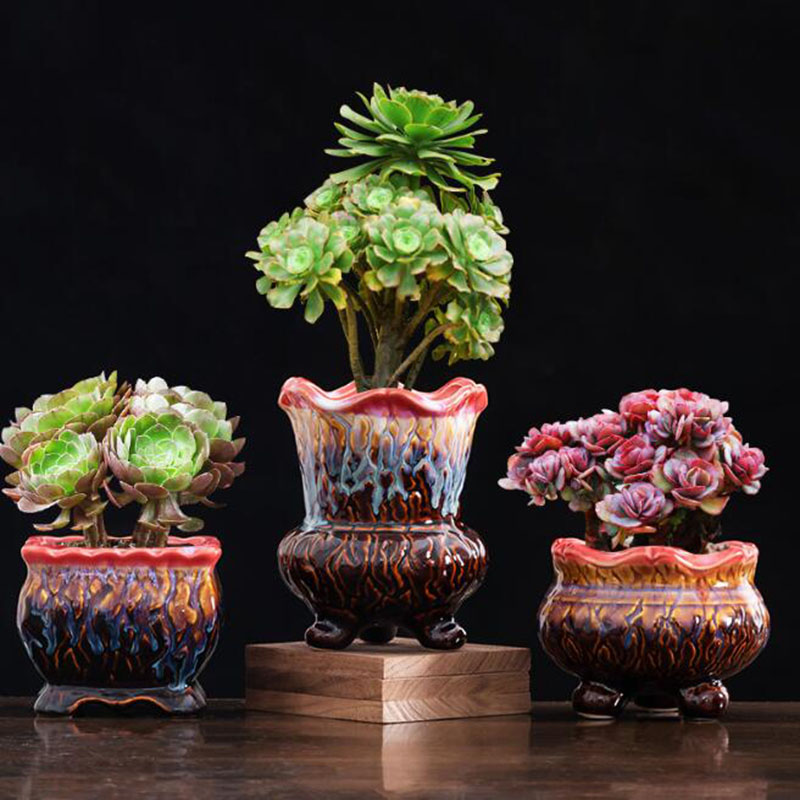 Creative Glazed Flowerpot Succ - đánh giá và giá Snake Plant Ceramic