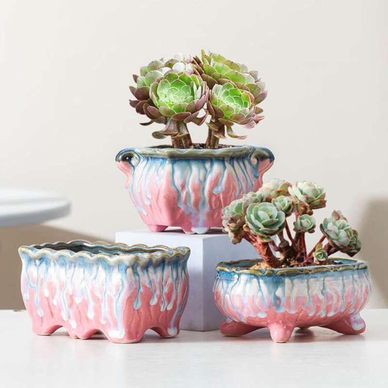 Creative Glazed Flowerpot Succ - đánh giá và giá Snake Plant Ceramic