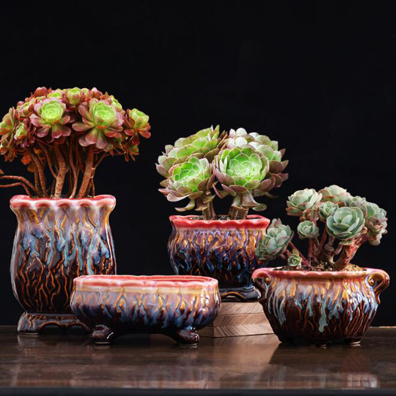 Creative Glazed Flowerpot Succ - đánh giá và giá Snake Plant Ceramic