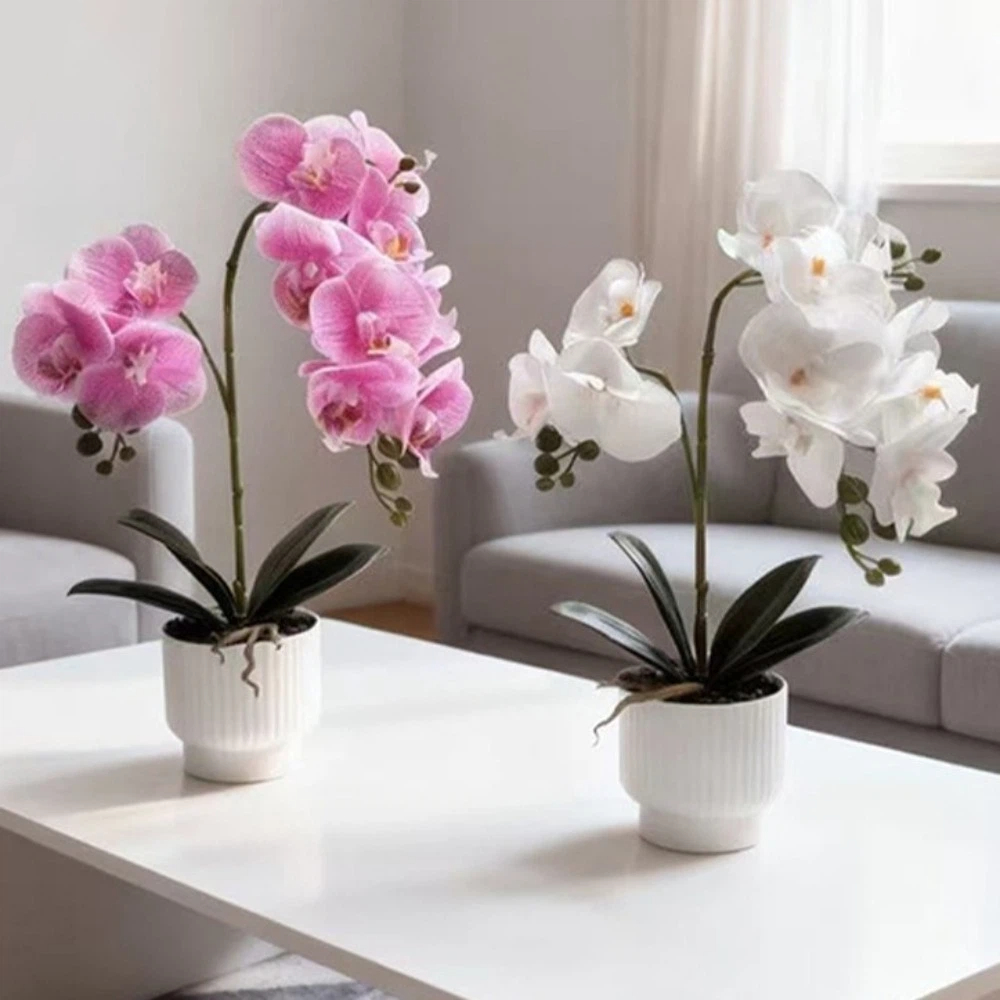 Multi-Bloom Simulated Butterfl - đánh giá và giá Orchid Phalaenopsis