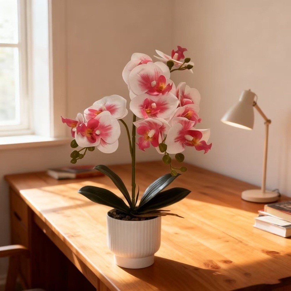 Multi-Bloom Simulated Butterfl - đánh giá và giá Orchid Phalaenopsis