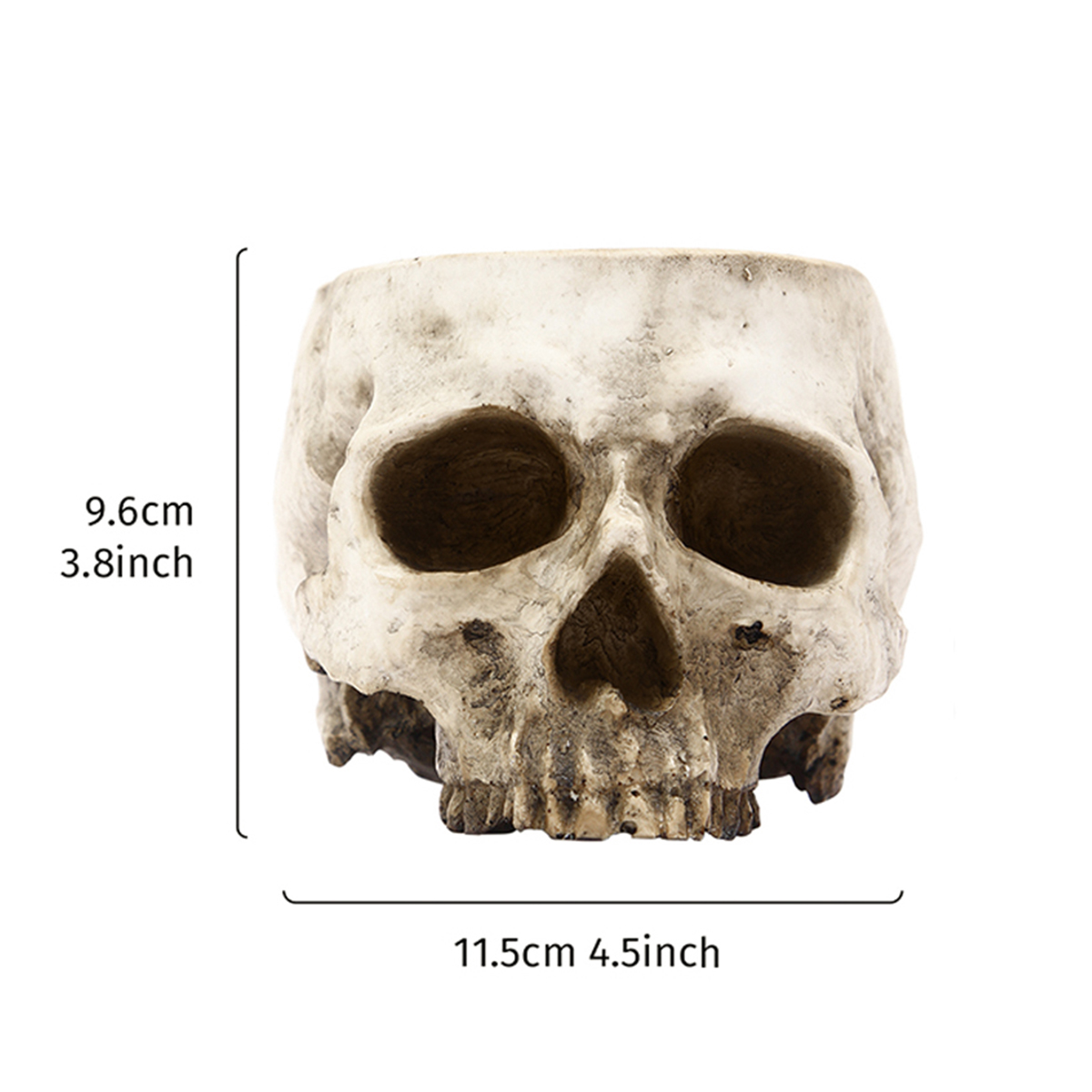 1PC, Creative Skull Flowerpot, - đánh giá và giá Snake Plant Ceramic