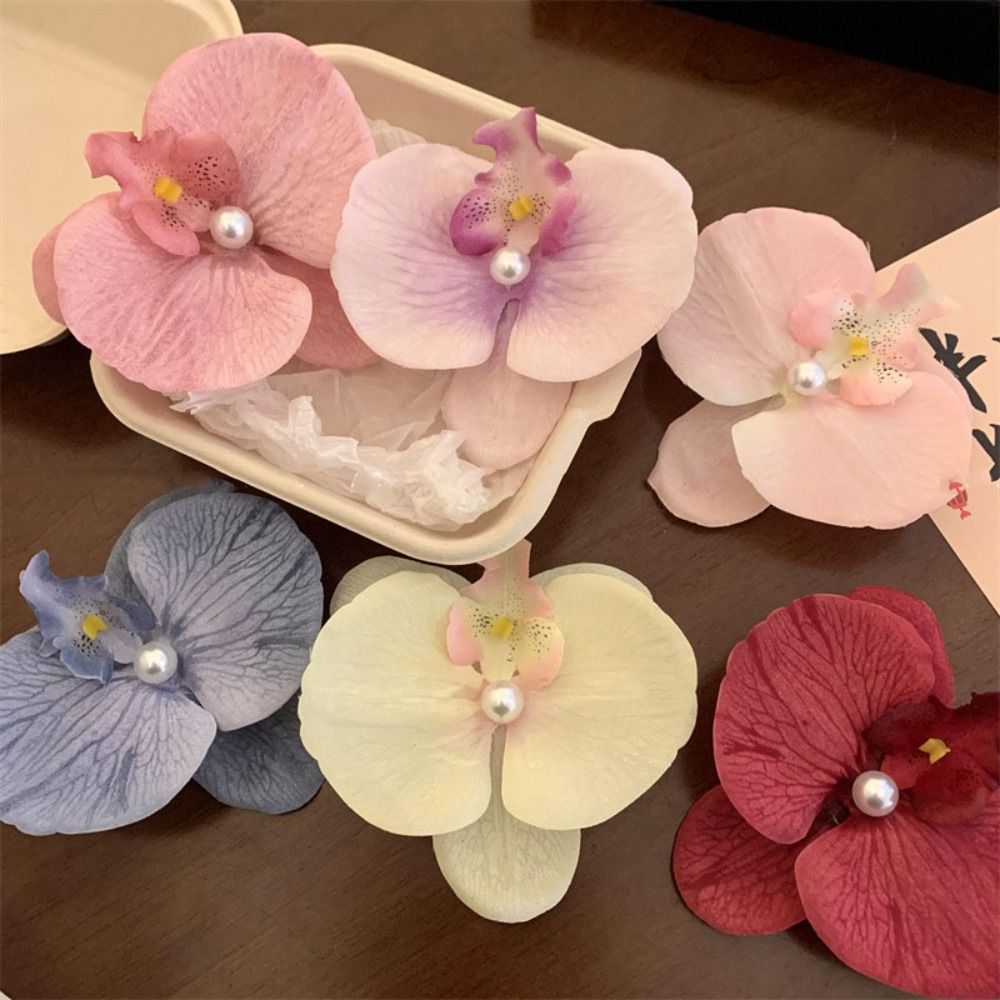 Phalaenopsis Pearl Hair Clip O - đánh giá và giá Orchid Phalaenopsis