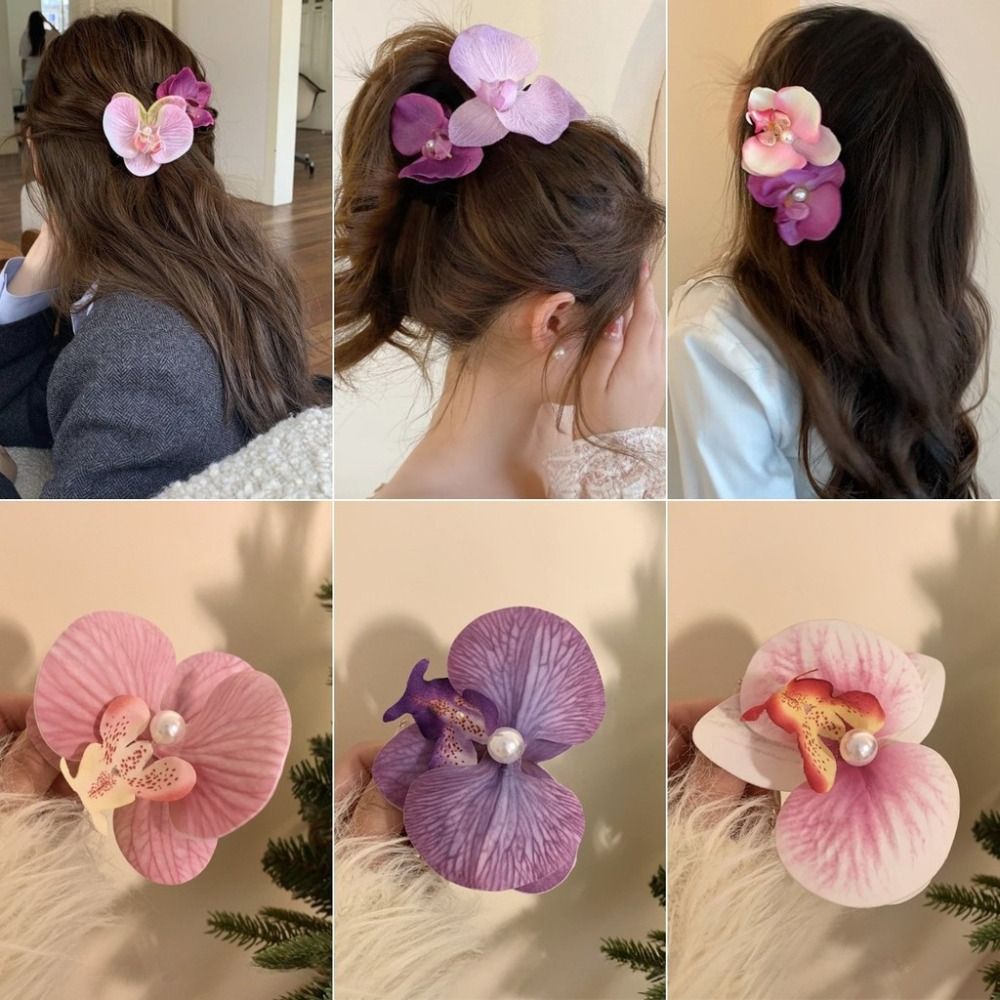 Phalaenopsis Pearl Hair Clip O - đánh giá và giá Orchid Phalaenopsis