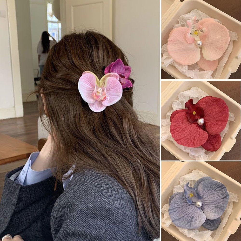 Phalaenopsis Pearl Hair Clip O - đánh giá và giá Orchid Phalaenopsis