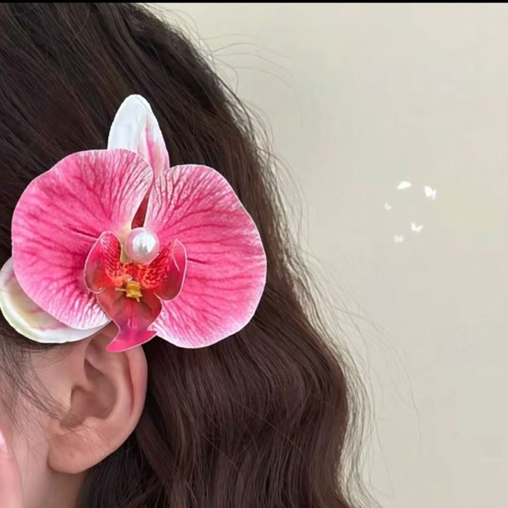 Phalaenopsis Pearl Hair Clip O - đánh giá và giá Orchid Phalaenopsis