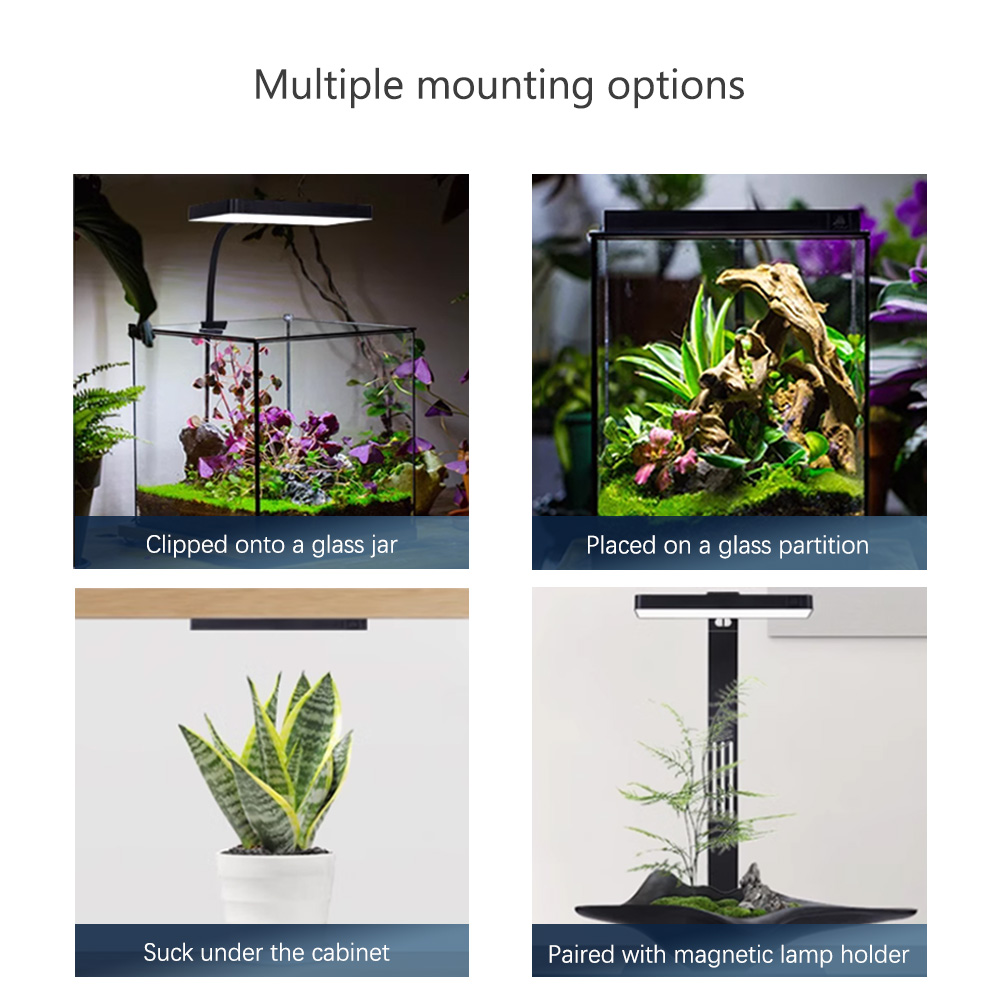 WEEK AQUA RGB+UV New Mode Spec - đánh giá và giá Plant Parent App