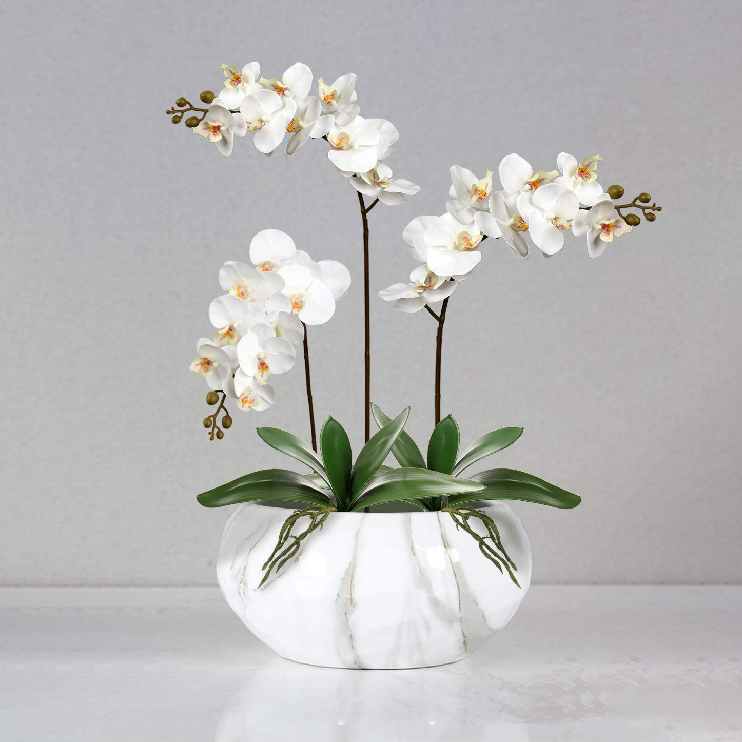 Artificial Phalaenopsis Leaves - đánh giá và giá Orchid Phalaenopsis