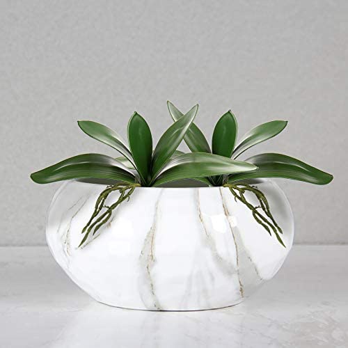 Artificial Phalaenopsis Leaves - đánh giá và giá Orchid Phalaenopsis