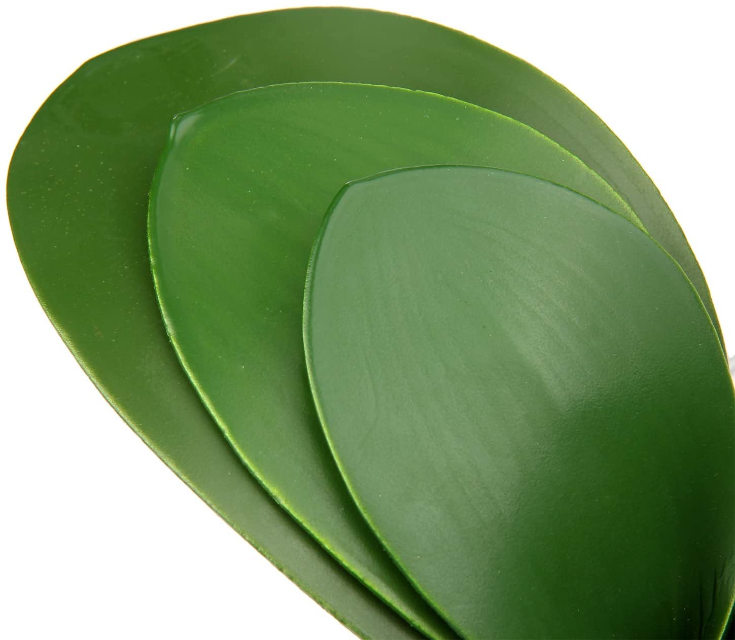 Artificial Phalaenopsis Leaves - đánh giá và giá Orchid Phalaenopsis