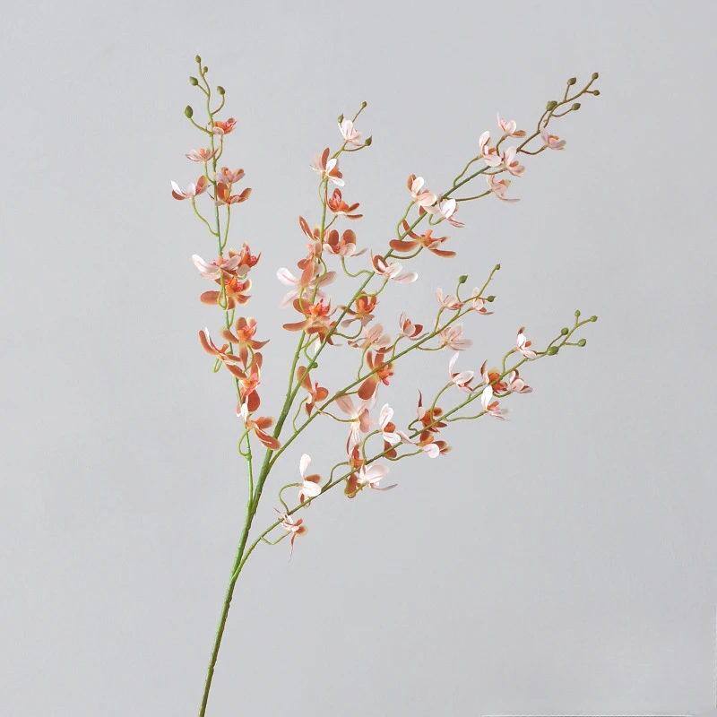 105CM 5-Fork Bandai Orchid Art - đánh giá và giá Orchid Phalaenopsis