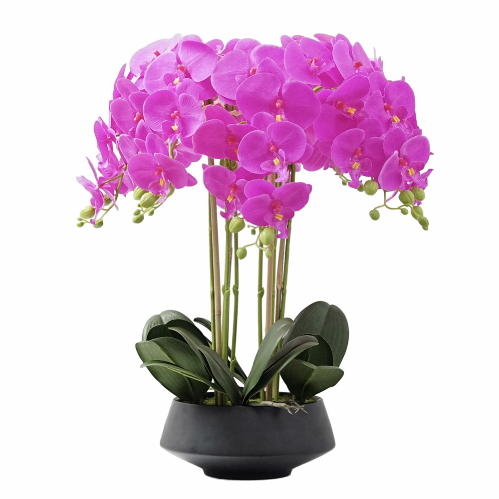 Artificial Potted Phalaenopsis - đánh giá và giá Orchid Phalaenopsis