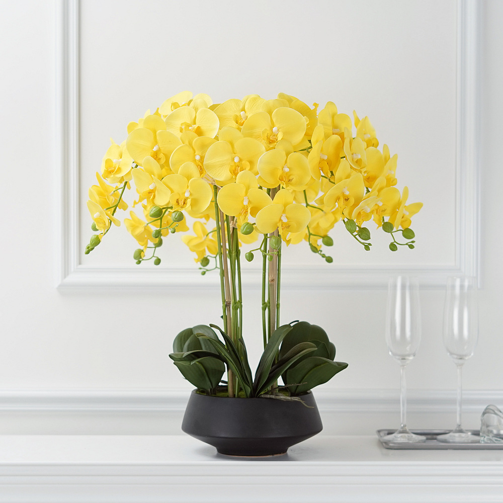 Artificial Potted Phalaenopsis - đánh giá và giá Orchid Phalaenopsis