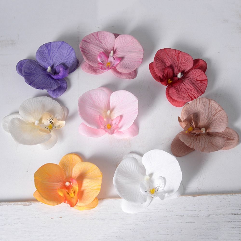 DIY Phalaenopsis Flower Head H - đánh giá và giá Orchid Phalaenopsis