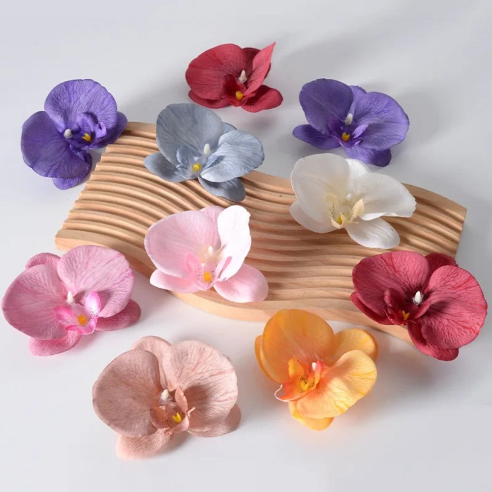 DIY Phalaenopsis Flower Head H - đánh giá và giá Orchid Phalaenopsis