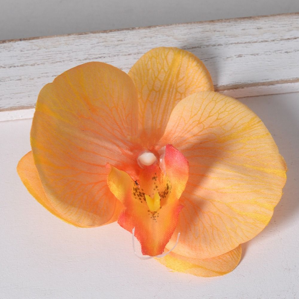 DIY Phalaenopsis Flower Head H - đánh giá và giá Orchid Phalaenopsis