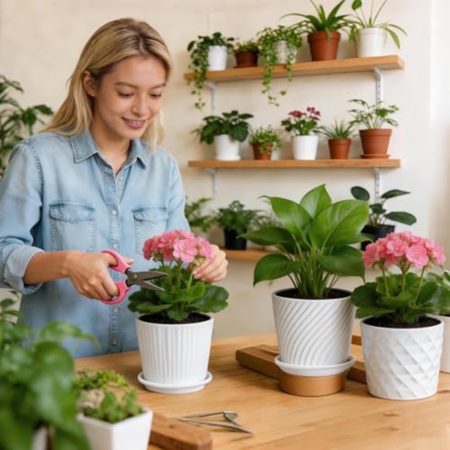 Plant Pots - Cylinder Ceramic  - đánh giá và giá Snake Plant Ceramic