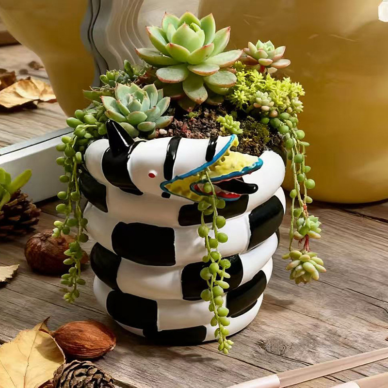 1 Piece Black and White Snake- - đánh giá và giá Snake Plant Ceramic