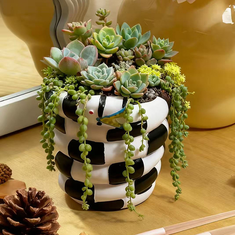 1 Piece Black and White Snake- - đánh giá và giá Snake Plant Ceramic