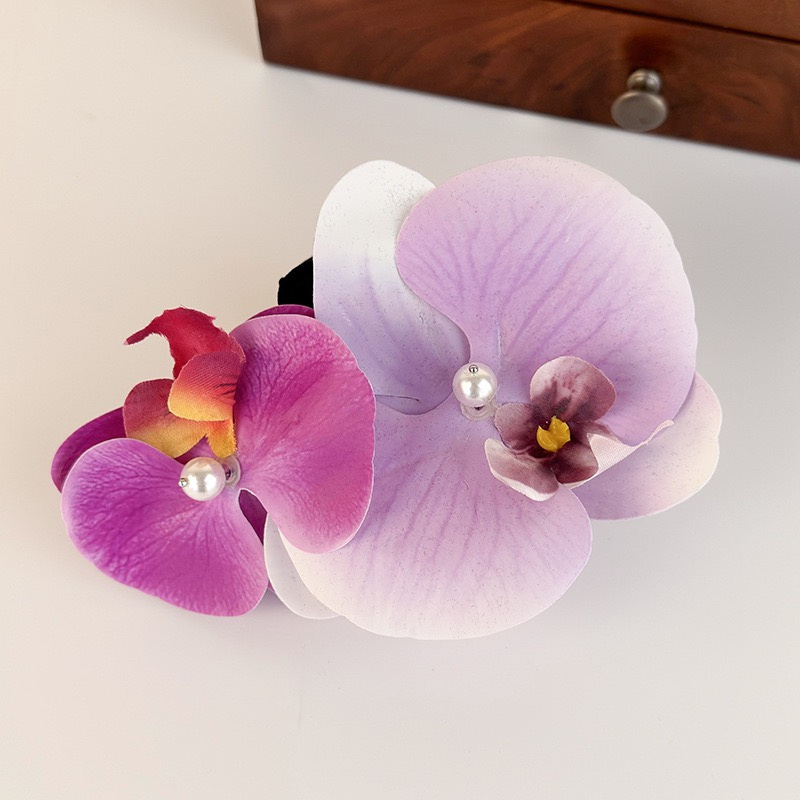 3 Pcs Colorful Butterfly Orchi - đánh giá và giá Orchid Phalaenopsis