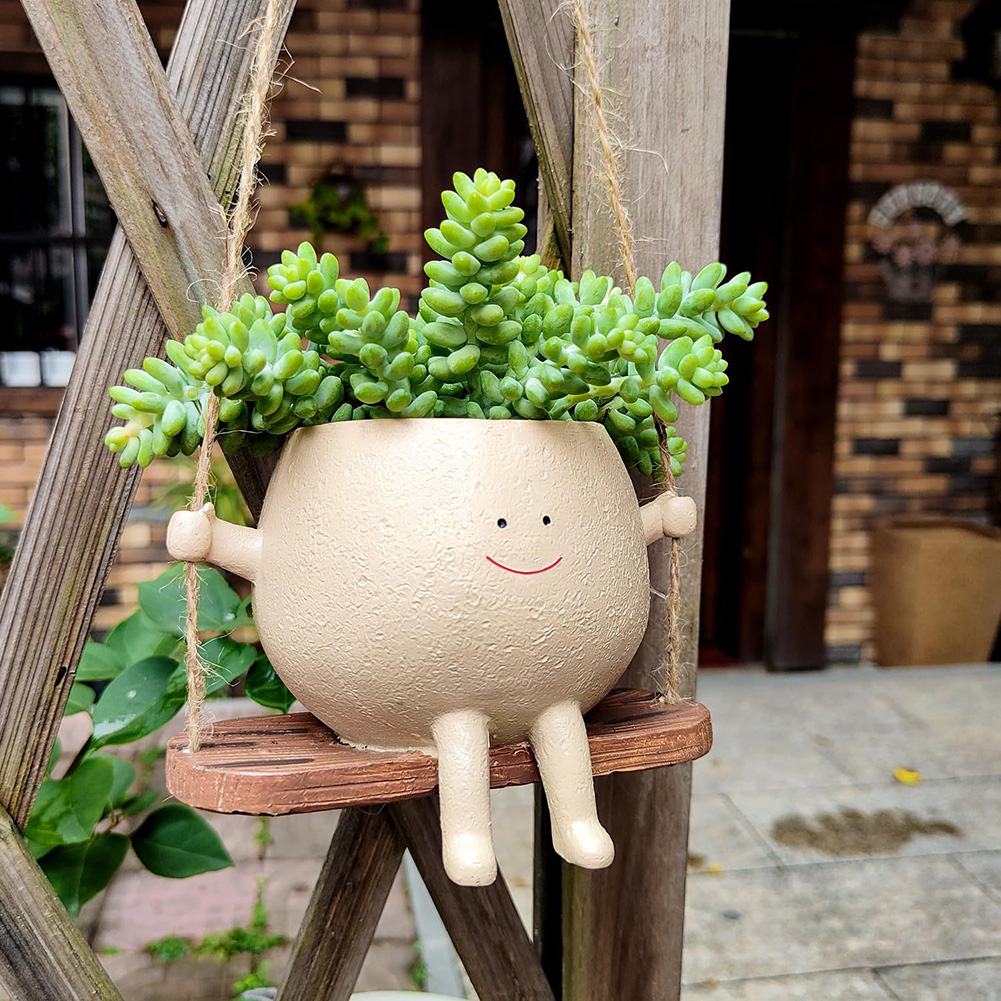 Swing Flower Container Resin C - đánh giá và giá Snake Plant Ceramic