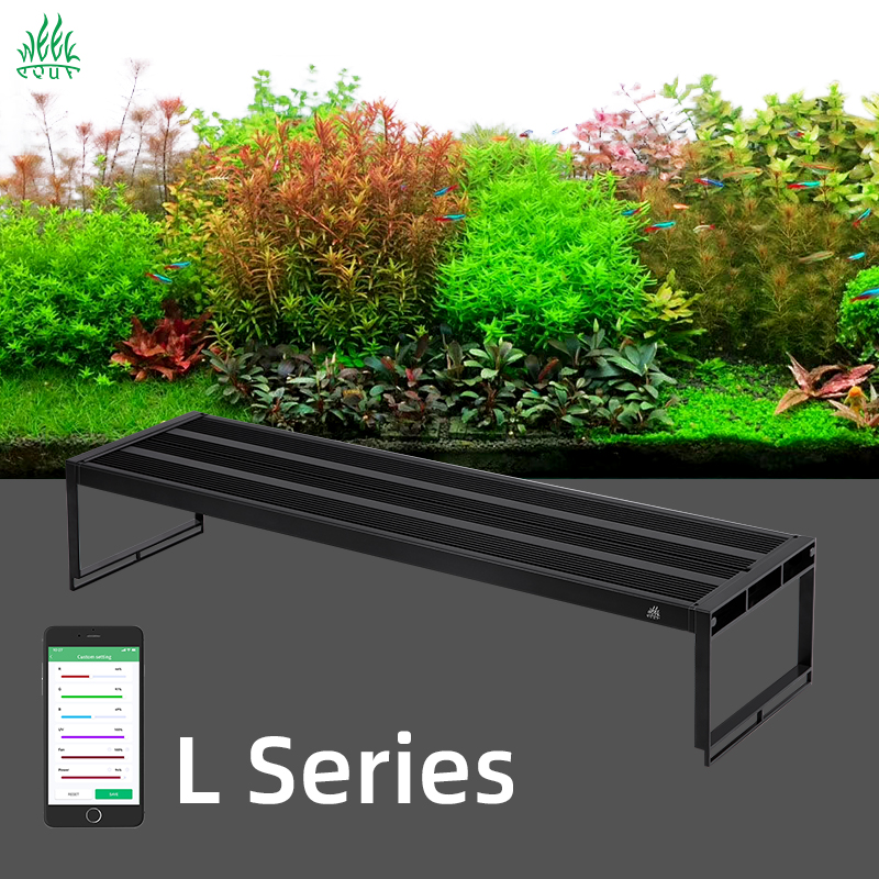 Week Aqua Ver. 3 L Series Newe - đánh giá và giá Plant Parent App
