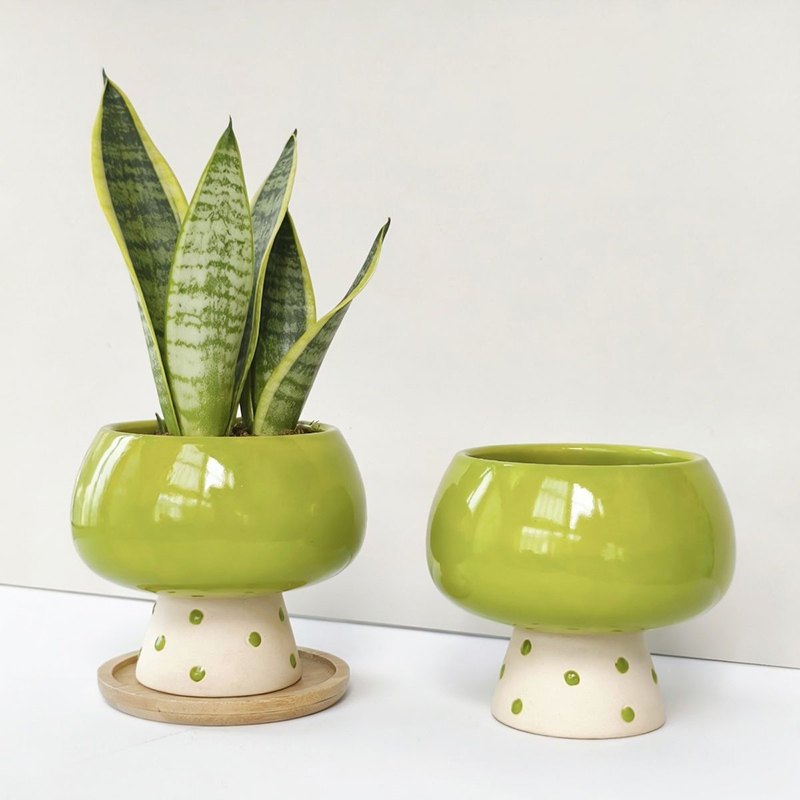 Stylish Minimalist Ceramic Flo - đánh giá và giá Snake Plant Ceramic