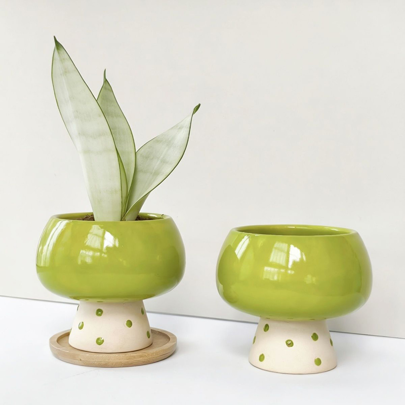 Stylish Minimalist Ceramic Flo - đánh giá và giá Snake Plant Ceramic