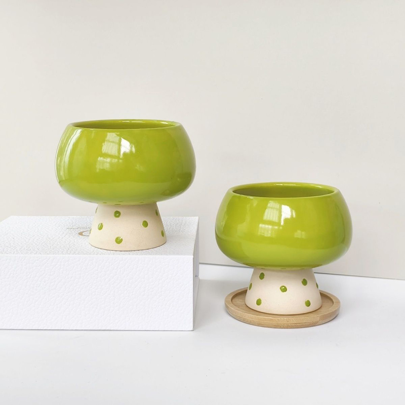 Stylish Minimalist Ceramic Flo - đánh giá và giá Snake Plant Ceramic