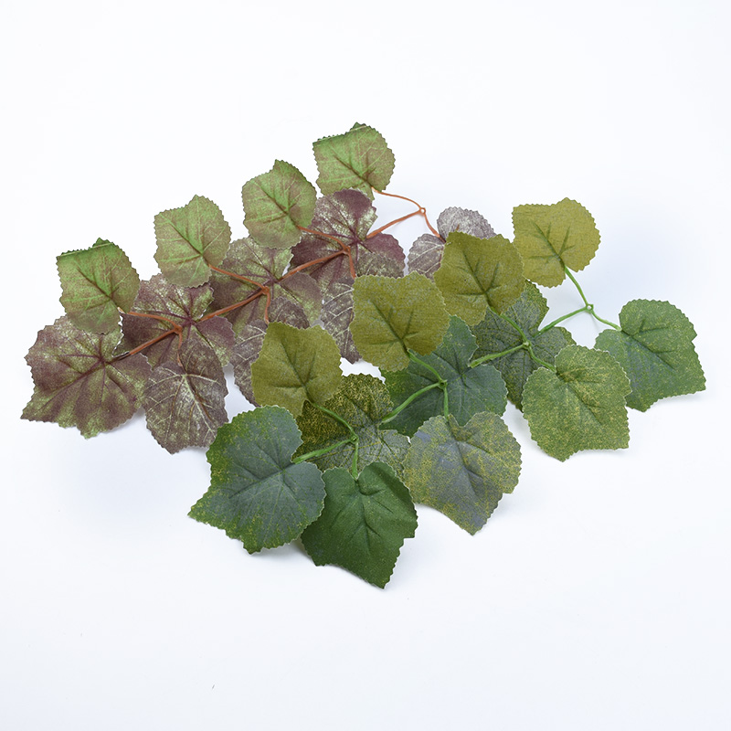 10 Chiếc Lụa Lá Phong Tự Làm Q - đánh giá và giá Plant Parent Gifts
