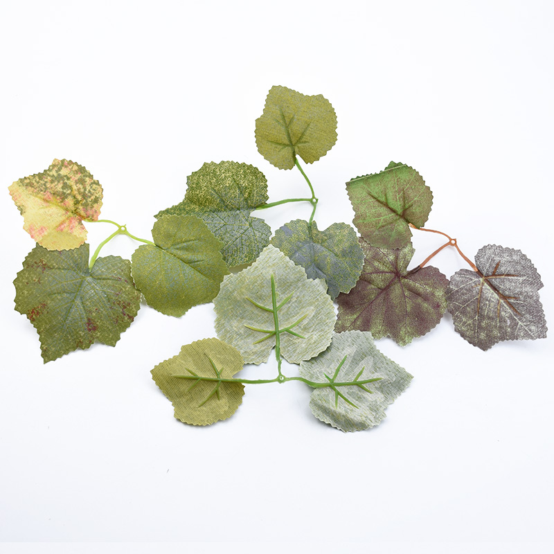 10 Chiếc Lụa Lá Phong Tự Làm Q - đánh giá và giá Plant Parent Gifts