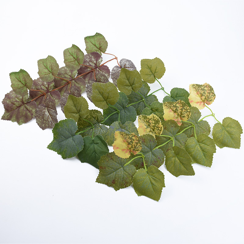 10 Chiếc Lụa Lá Phong Tự Làm Q - đánh giá và giá Plant Parent Gifts