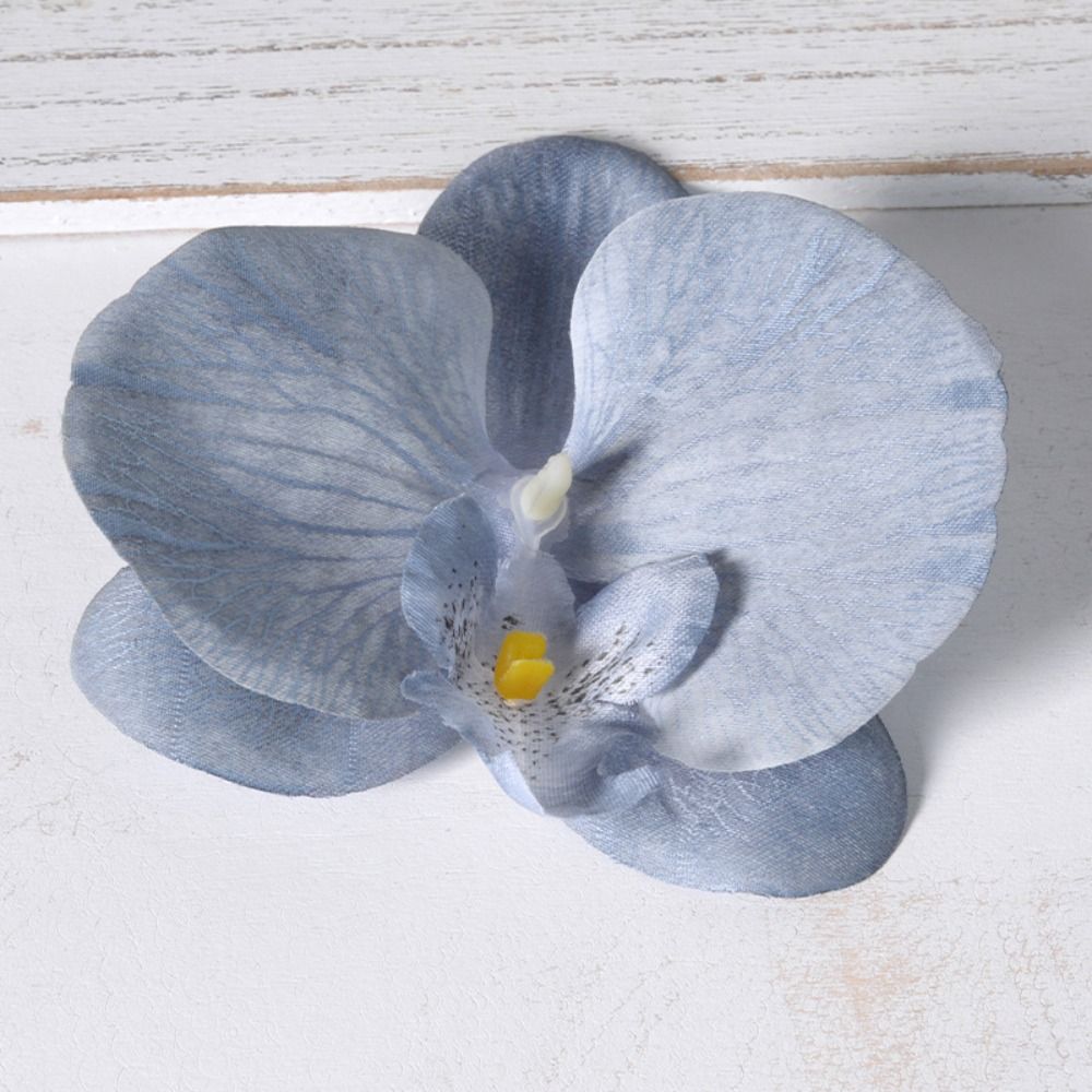 DIY Phalaenopsis Flower Head 1 - đánh giá và giá Orchid Phalaenopsis