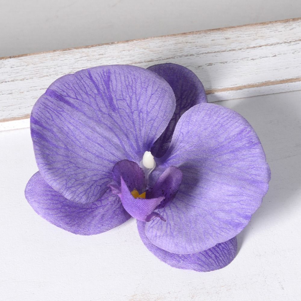 DIY Phalaenopsis Flower Head 1 - đánh giá và giá Orchid Phalaenopsis