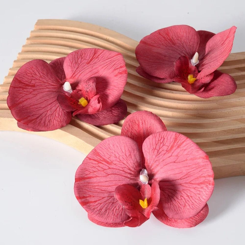 DIY Phalaenopsis Flower Head 1 - đánh giá và giá Orchid Phalaenopsis