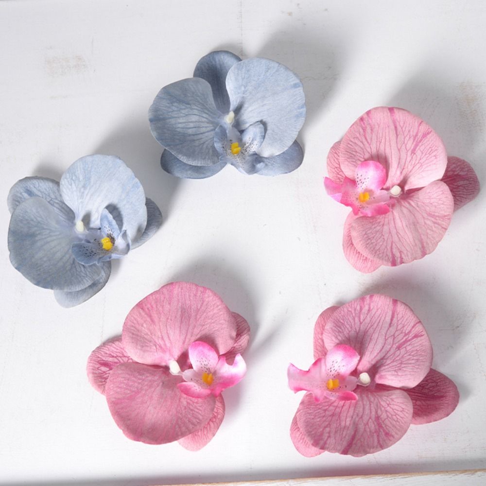 DIY Phalaenopsis Flower Head 1 - đánh giá và giá Orchid Phalaenopsis