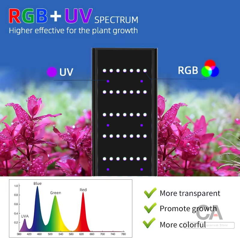 WEEK AQUA L Series, Aquarium L - đánh giá và giá Plant Parent App