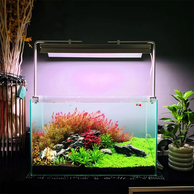WEEK AQUA L Series, Aquarium L - đánh giá và giá Plant Parent App