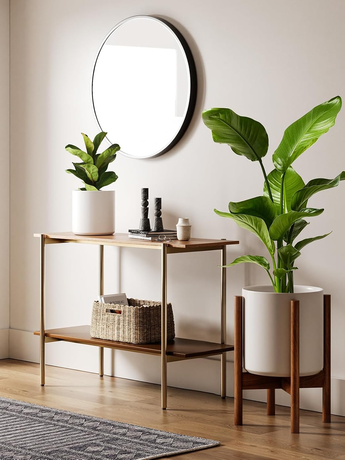 12 Inch White Elevated Ceramic - đánh giá và giá Snake Plant Ceramic