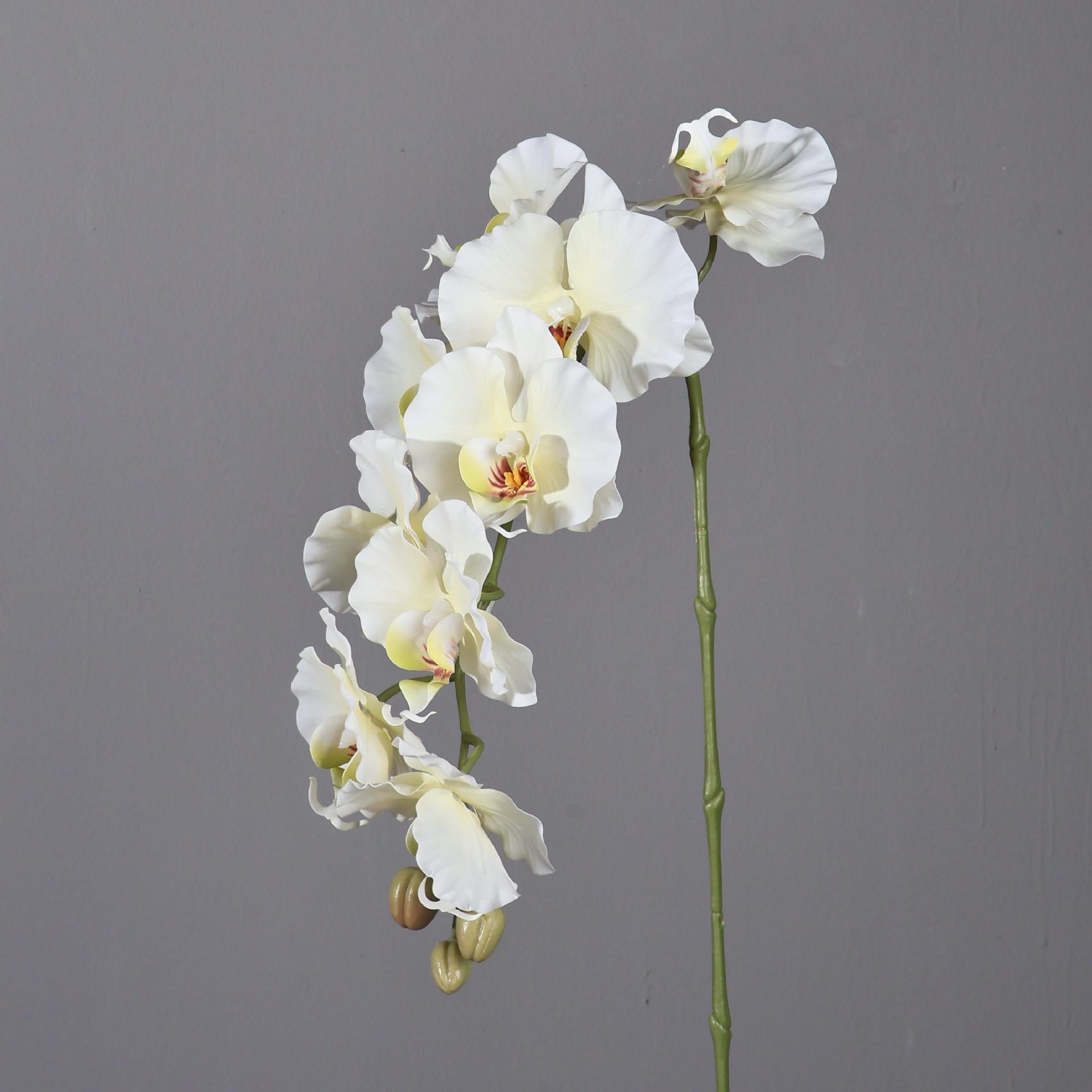 38.6 Inch 9 Heads Korean Style - đánh giá và giá Orchid Phalaenopsis