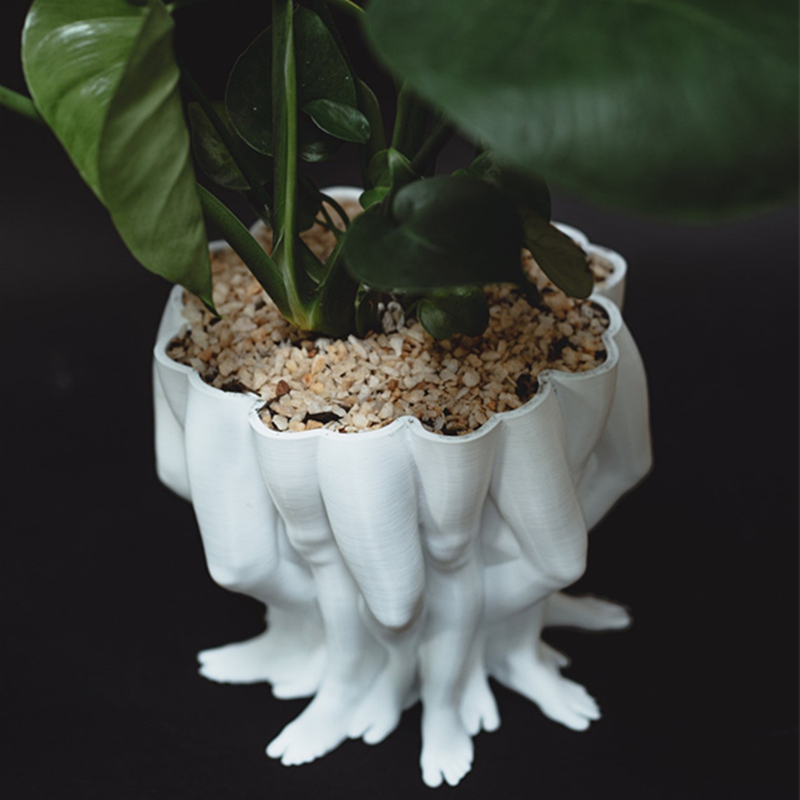 3D Printed PolyLeg Planter  Mu - đánh giá và giá Snake Plant Ceramic