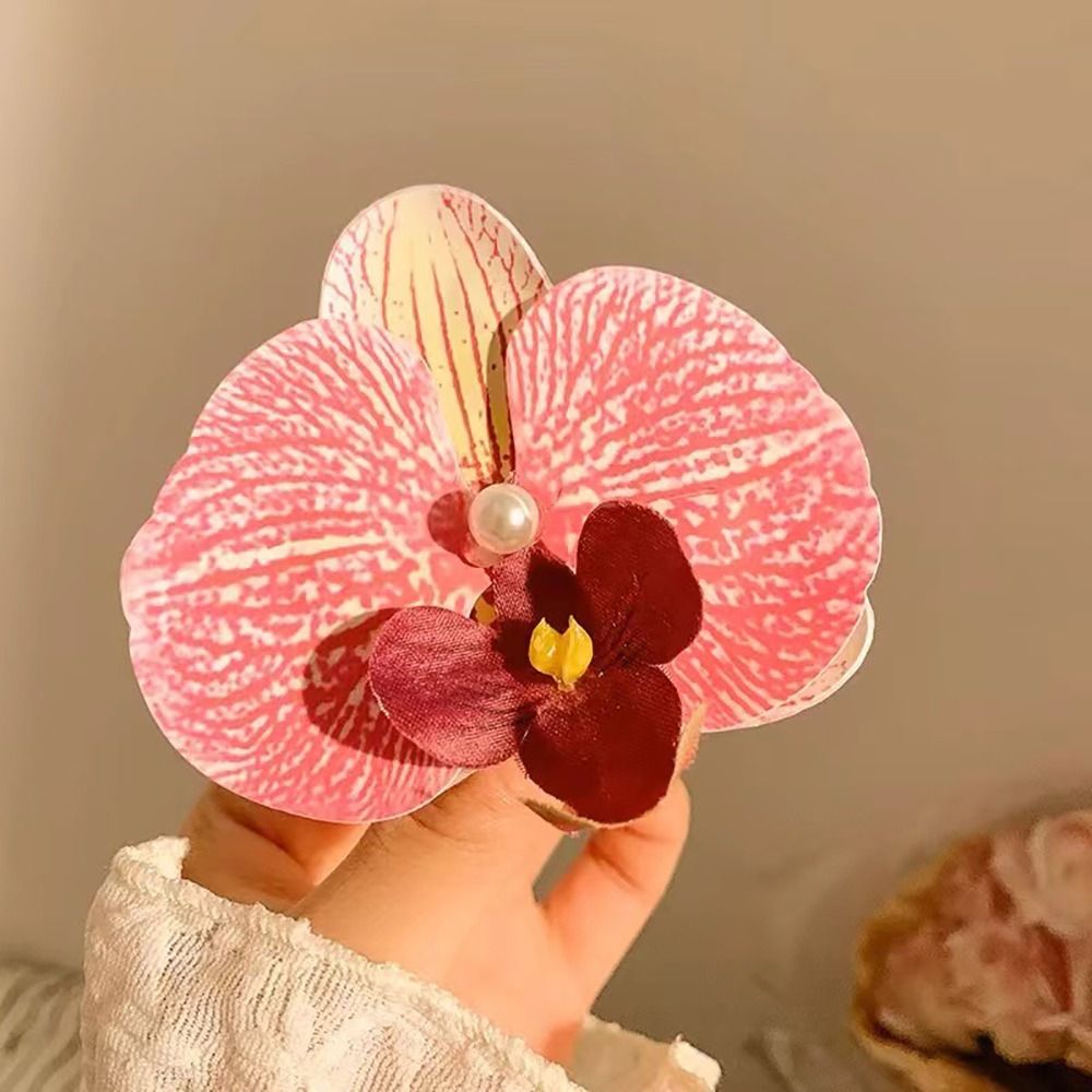 1Pcs Phalaenopsis Pearl Hair C - đánh giá và giá Orchid Phalaenopsis