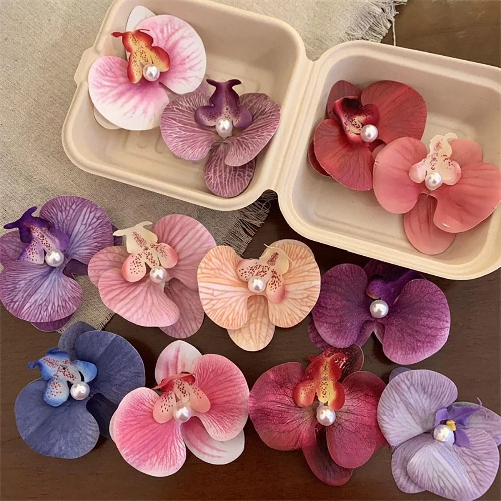 1Pcs Phalaenopsis Pearl Hair C - đánh giá và giá Orchid Phalaenopsis