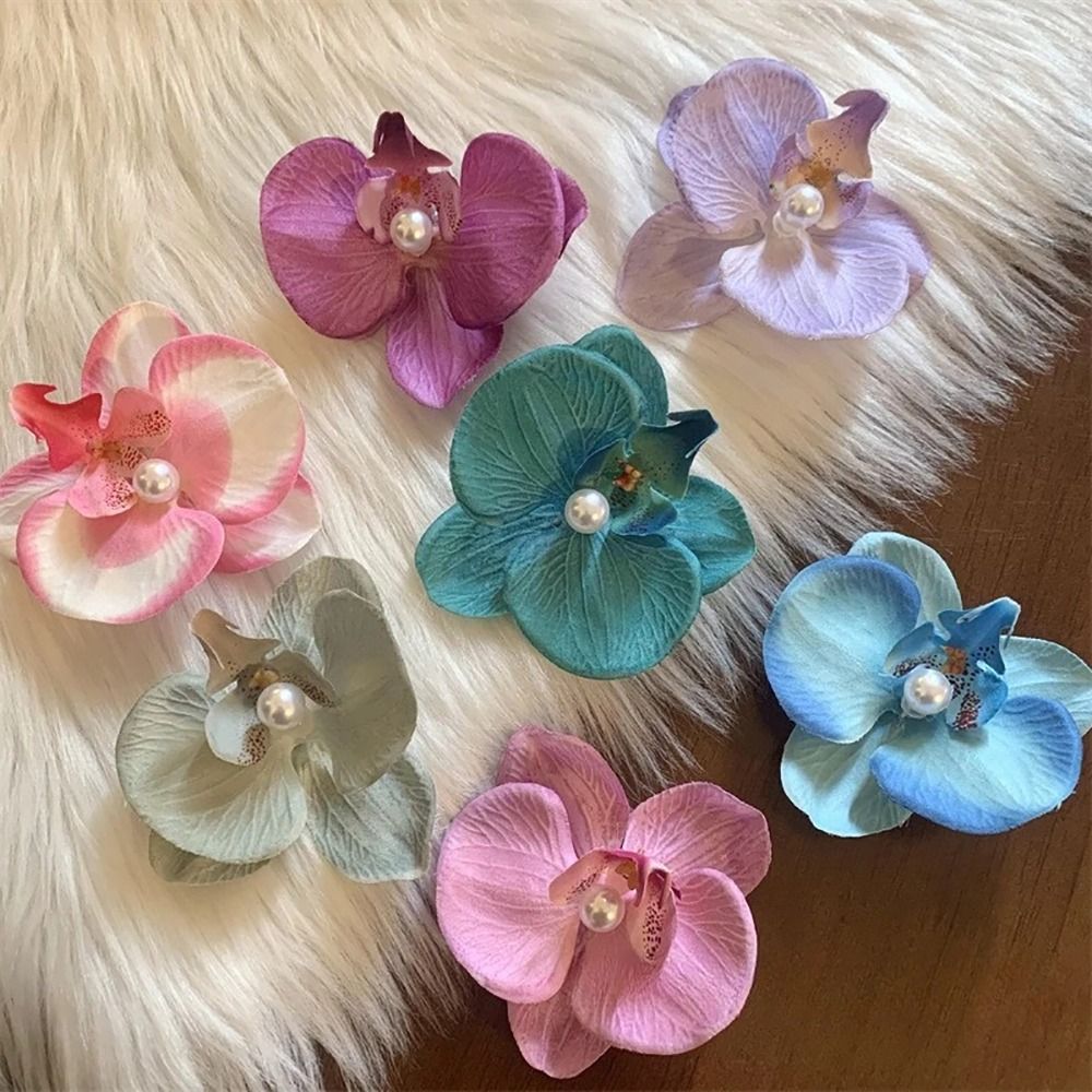 1Pcs Phalaenopsis Pearl Hair C - đánh giá và giá Orchid Phalaenopsis